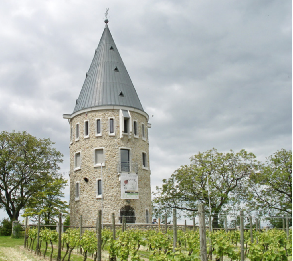 Delicador Partyservice & Catering